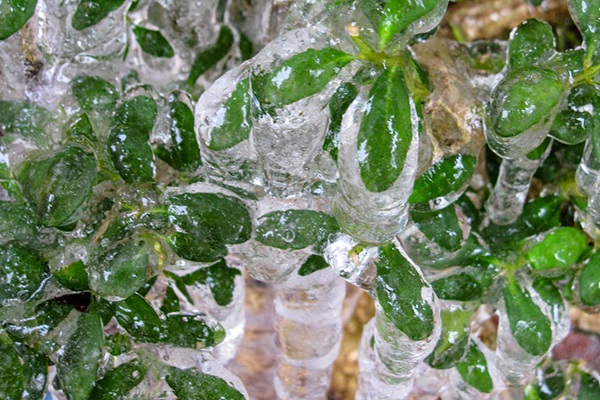 铁岭天气